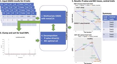 MetaPhat: Detecting and Decomposing Multivariate Associations From Univariate Genome-Wide Association Statistics